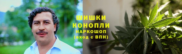 гидра Аркадак