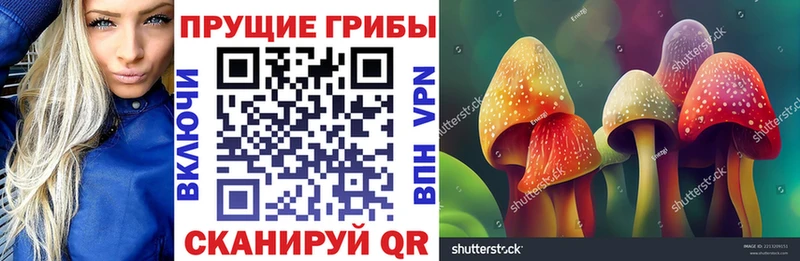 Псилоцибиновые грибы ЛСД  что такое наркотик  Елабуга 